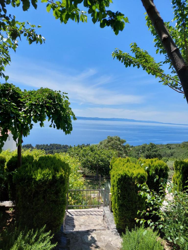 Villa Marija photo 2