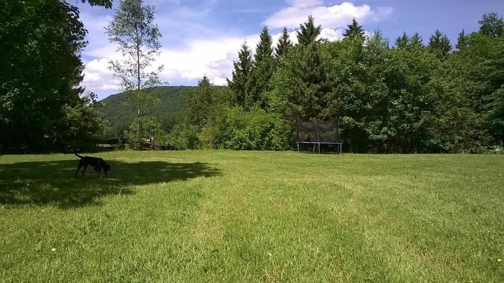 Waldpension Harzer Waldwinkel photo 4