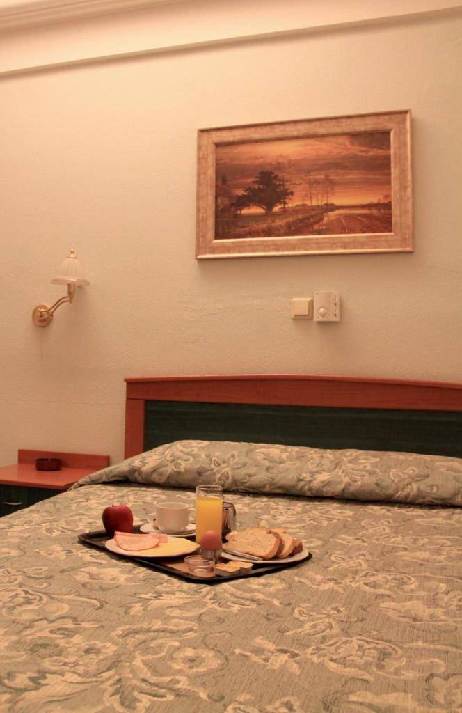 Двухместный (Двухместный номер с 1 кроватью), Hotel Platon