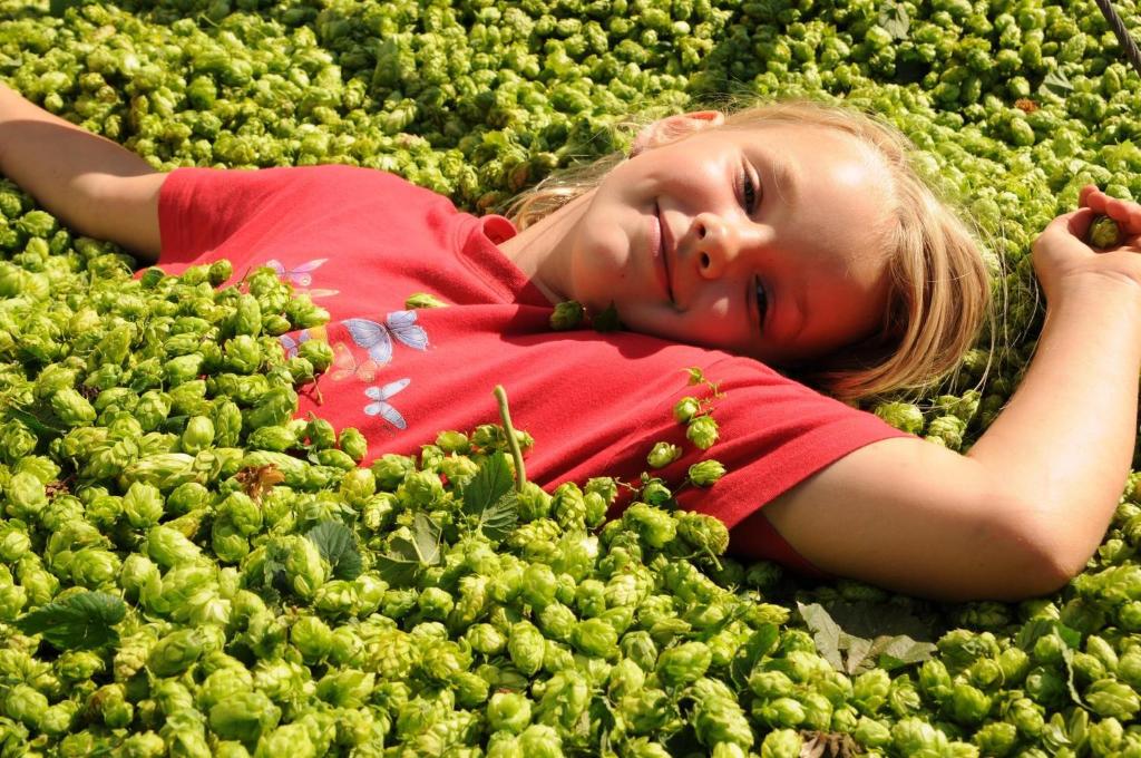Ferienhof Hopfgärtle Müller photo 2