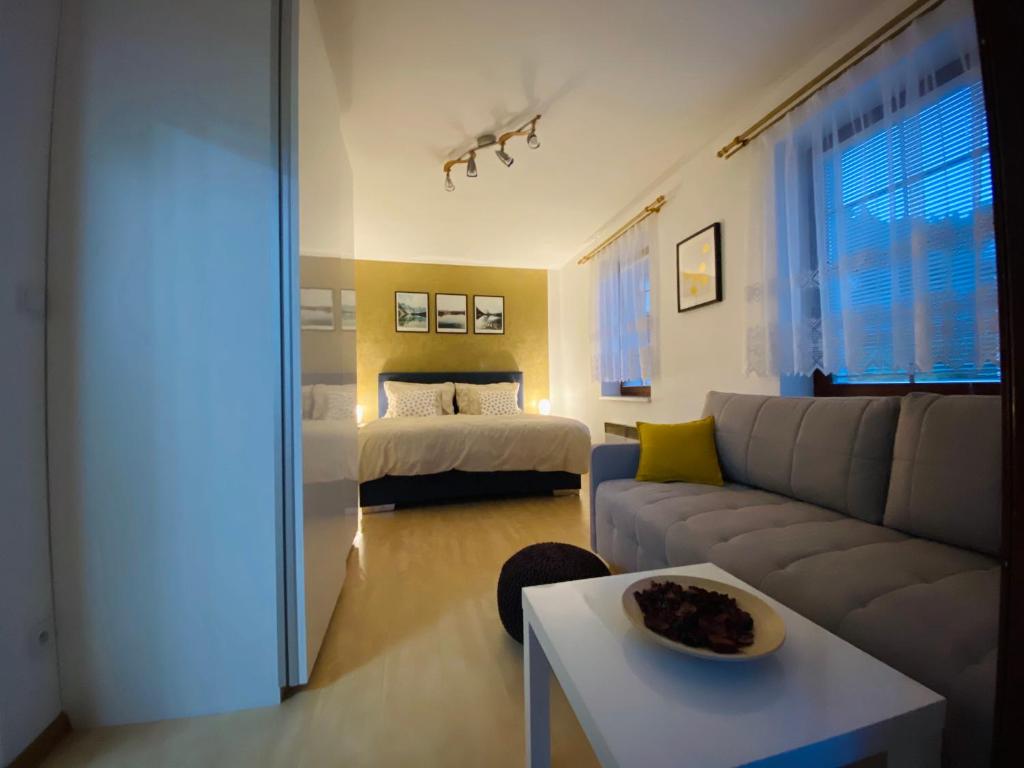 Flat 123 ubytování pod sjezdovkou - Adults only