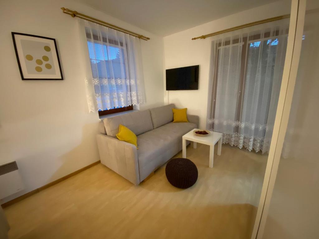 Flat 123 ubytování pod sjezdovkou - Adults only photo 3