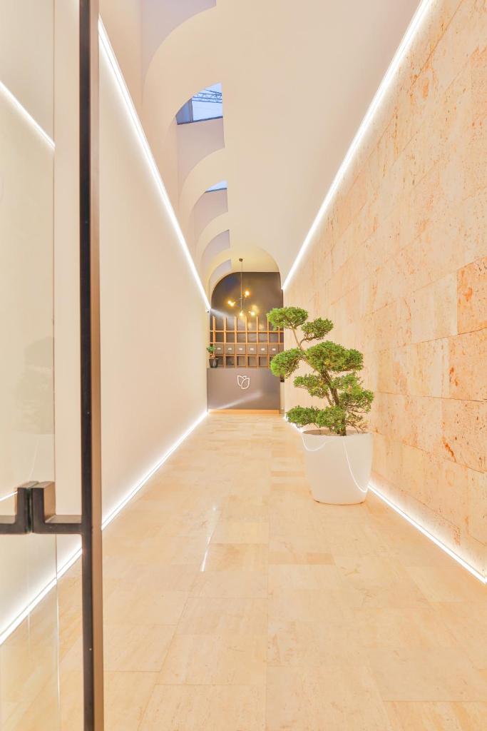 Benelux Hotel photo 1