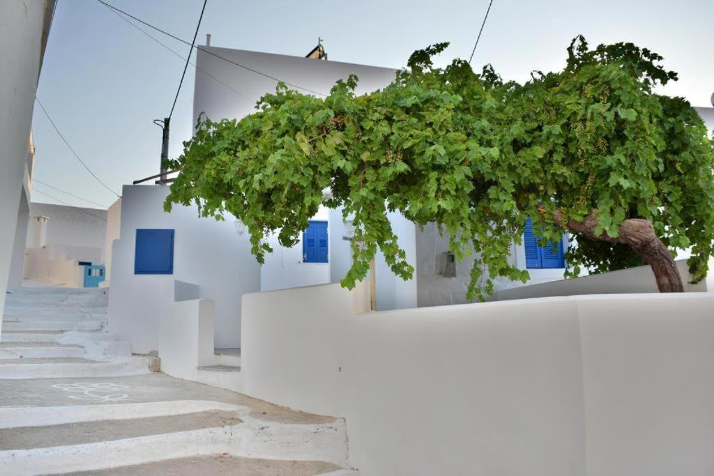 Anatoli Rooms photo 1