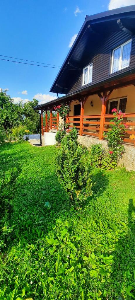 Casa Andreea și Grigore Ursu photo 1