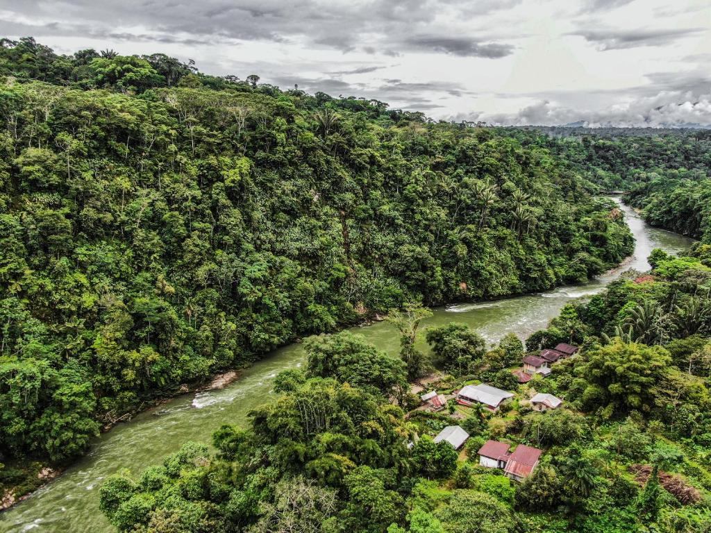 Playa Selva Lodge photo 1