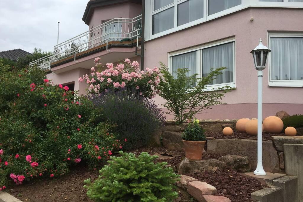 Kraichgau-Nest photo 4
