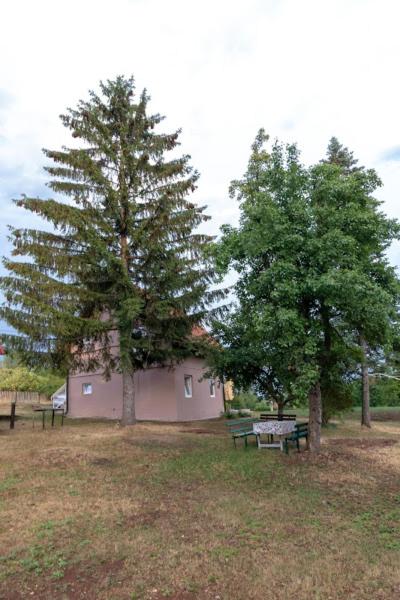 Seosko domacinstvo Milekic photo 2