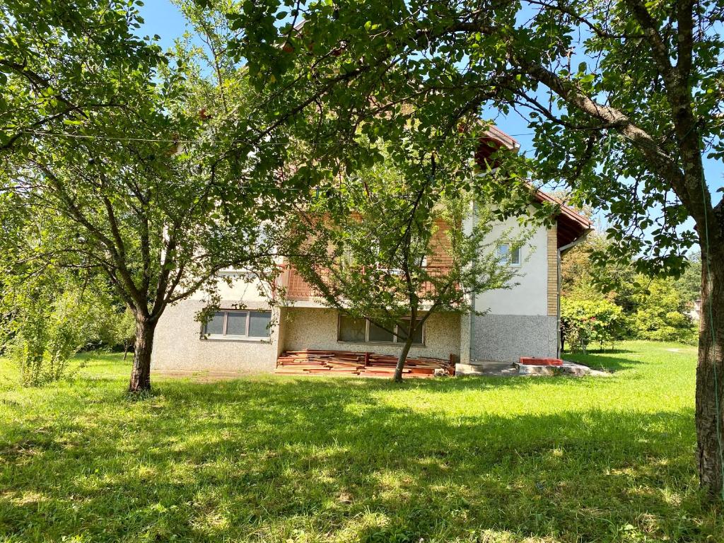 Vila Vidak photo 1