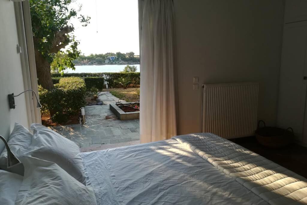 Pine tree beachfront villa photo 3