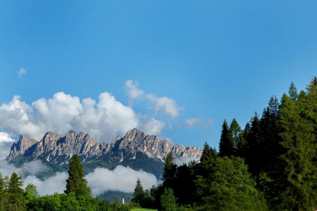 Chalet del Capriolo photo 4
