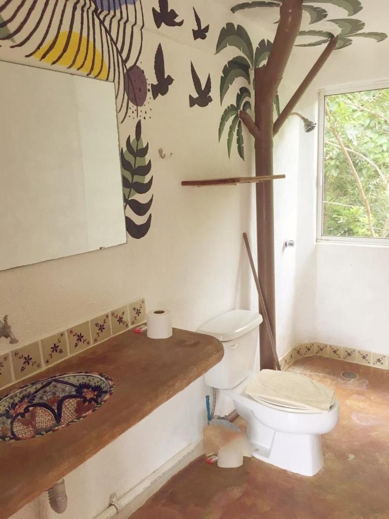 Casa Macondo photo 3