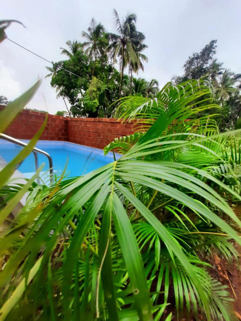 Swarg 5Bhk Villa Alibaug photo 3