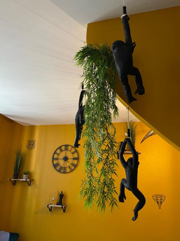 JuNgLe ROOM - 숙소 외관