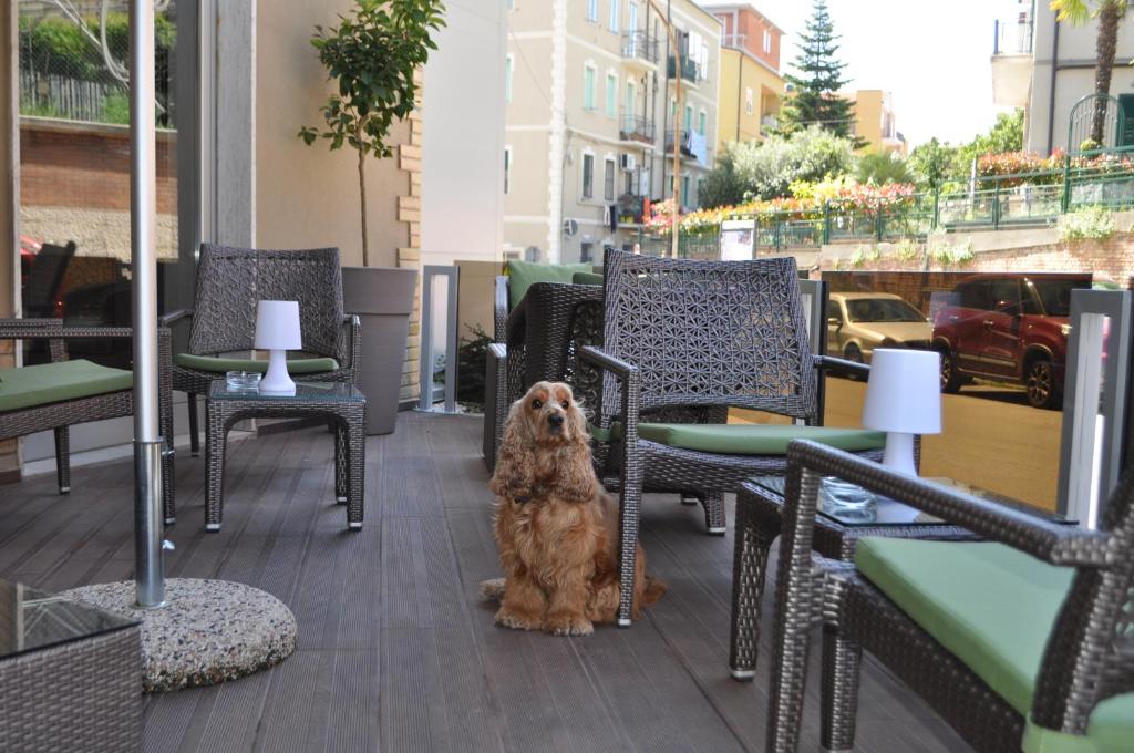 Hotel San Marco photo 2