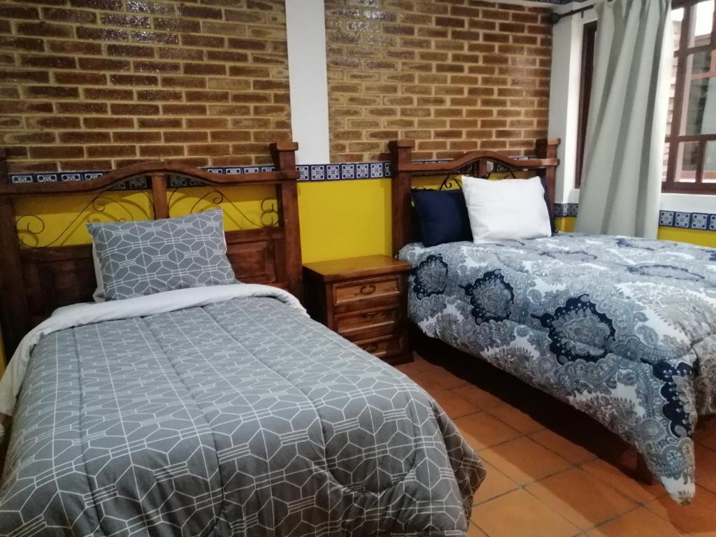 Hotel Y Suites Axolotl photo 4