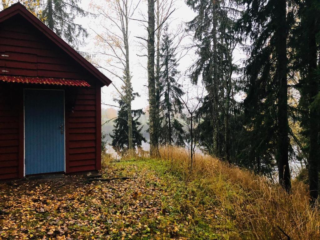 Tiny hut in the forest overlooking the river photo 2