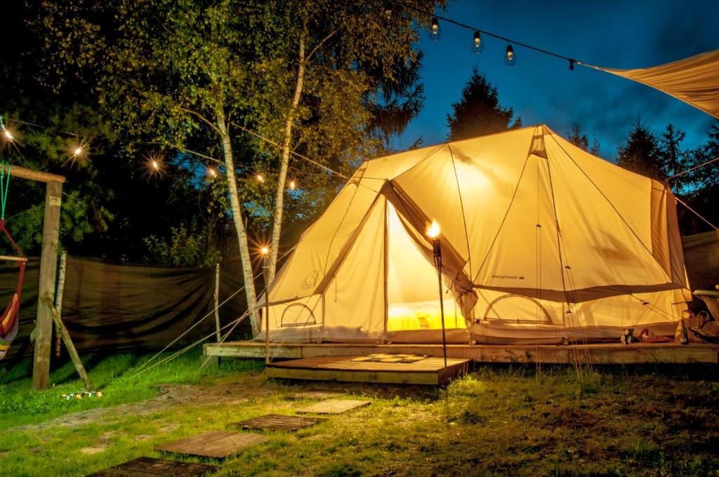 Glamping z alpakami