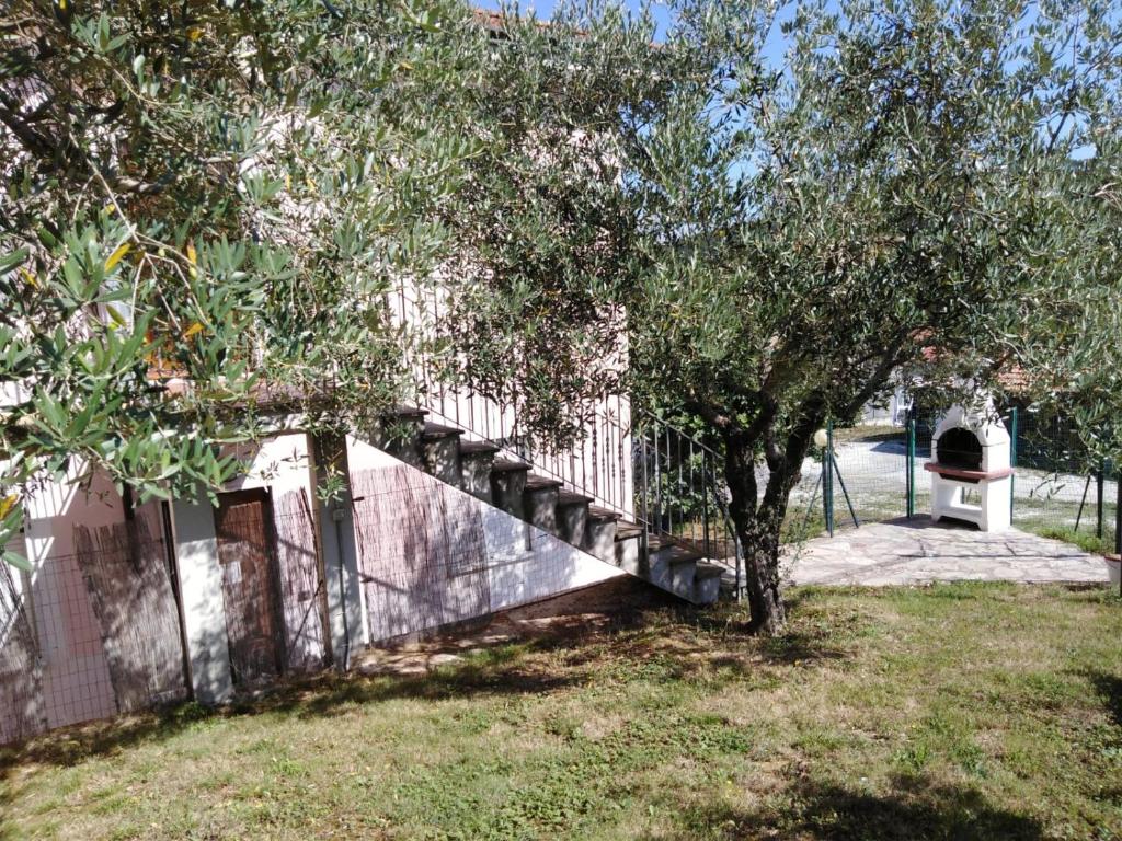 La Collina photo 2