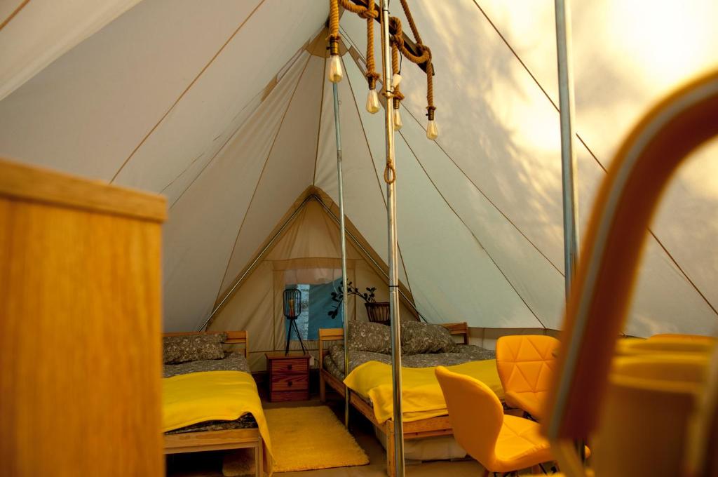Glamping z alpakami photo 2
