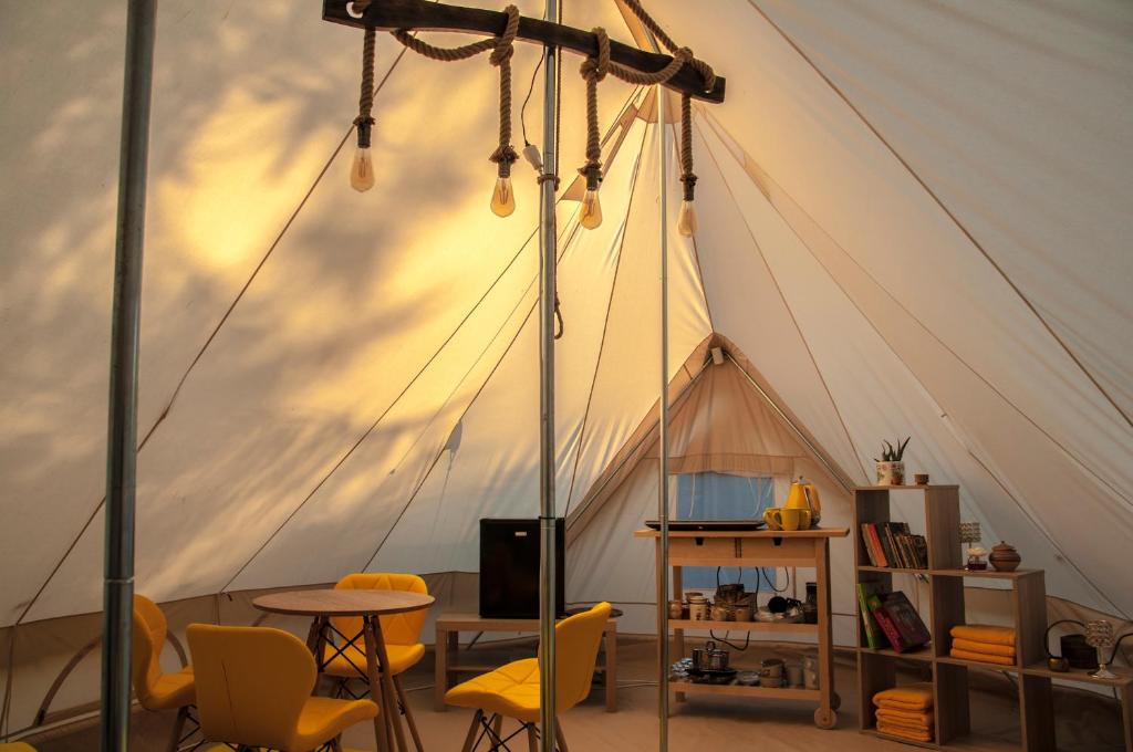 Glamping z alpakami photo 3