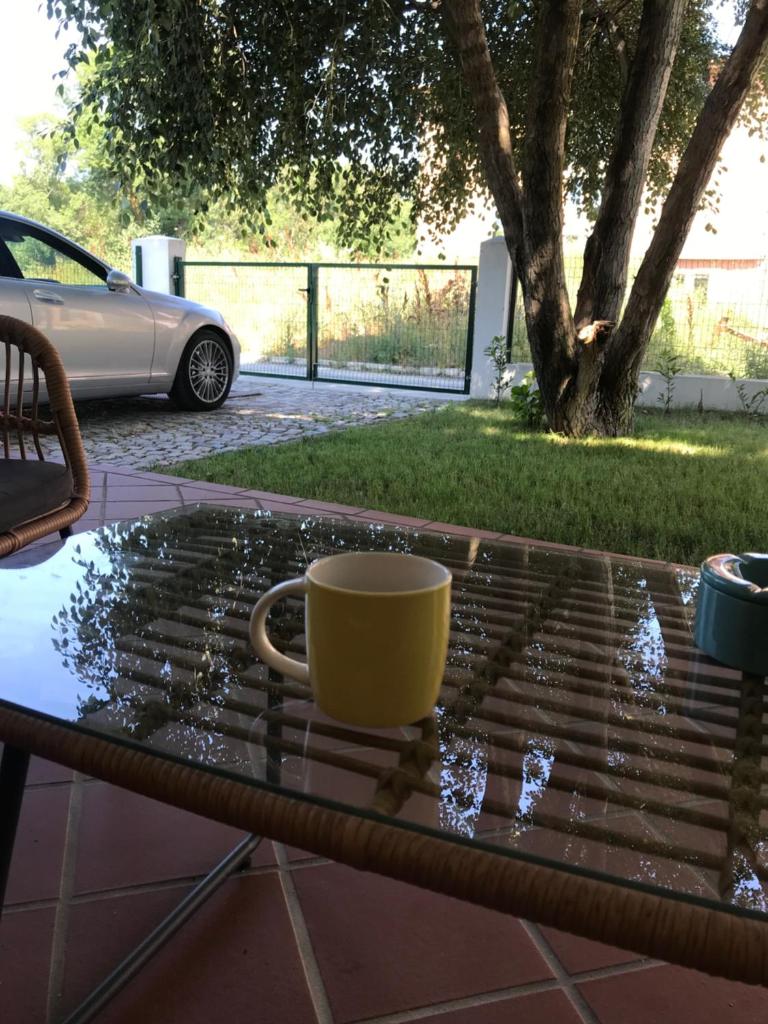 Villa Oasis етаж1 photo 4
