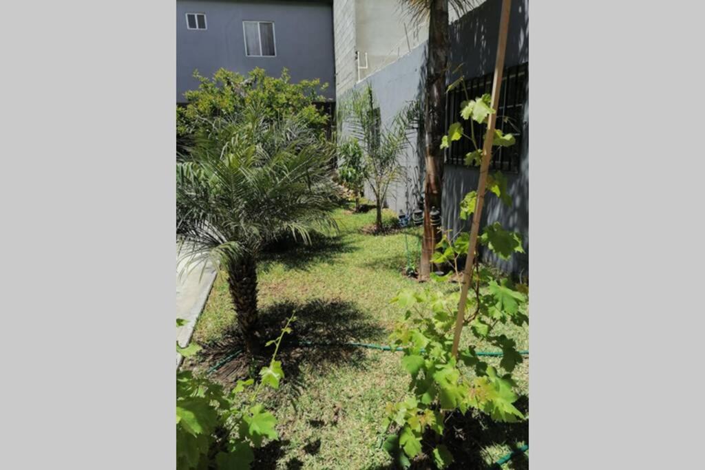 Departamento las palmas photo 4