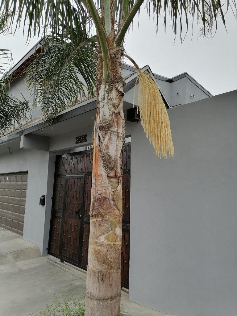Departamento las palmas photo 1