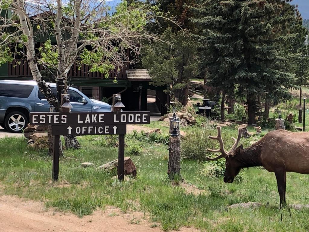 Estes Lake Lodge image