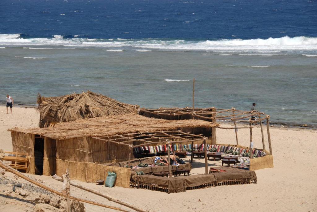 The Oasis photo 1