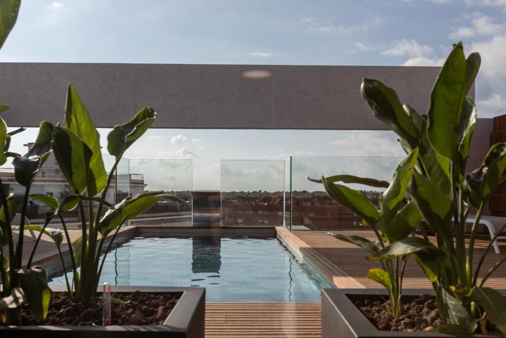 Art Apartments photo 2
