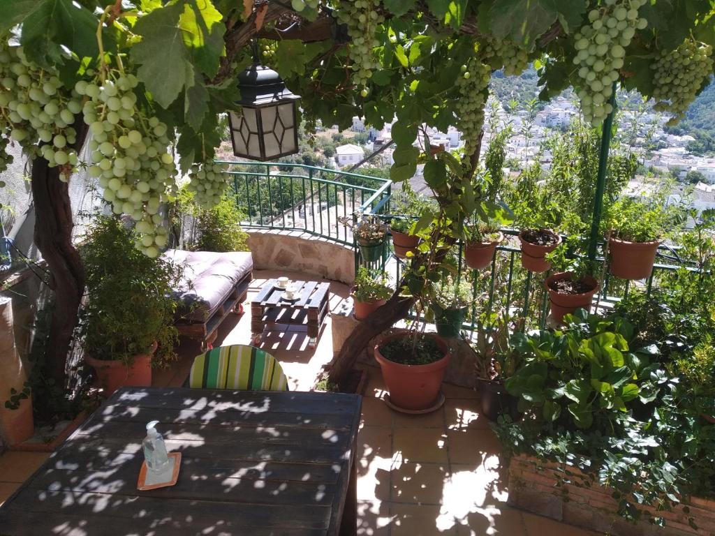 CASA MARIBEL photo 1