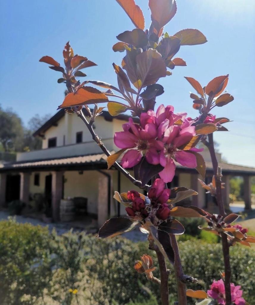 Casale Terre Rosse Garden photo 1