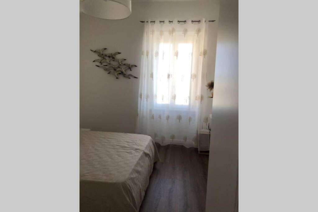 Appartamento incantevole La Maddalena vista mare CODICE IUN Q5459 photo 3