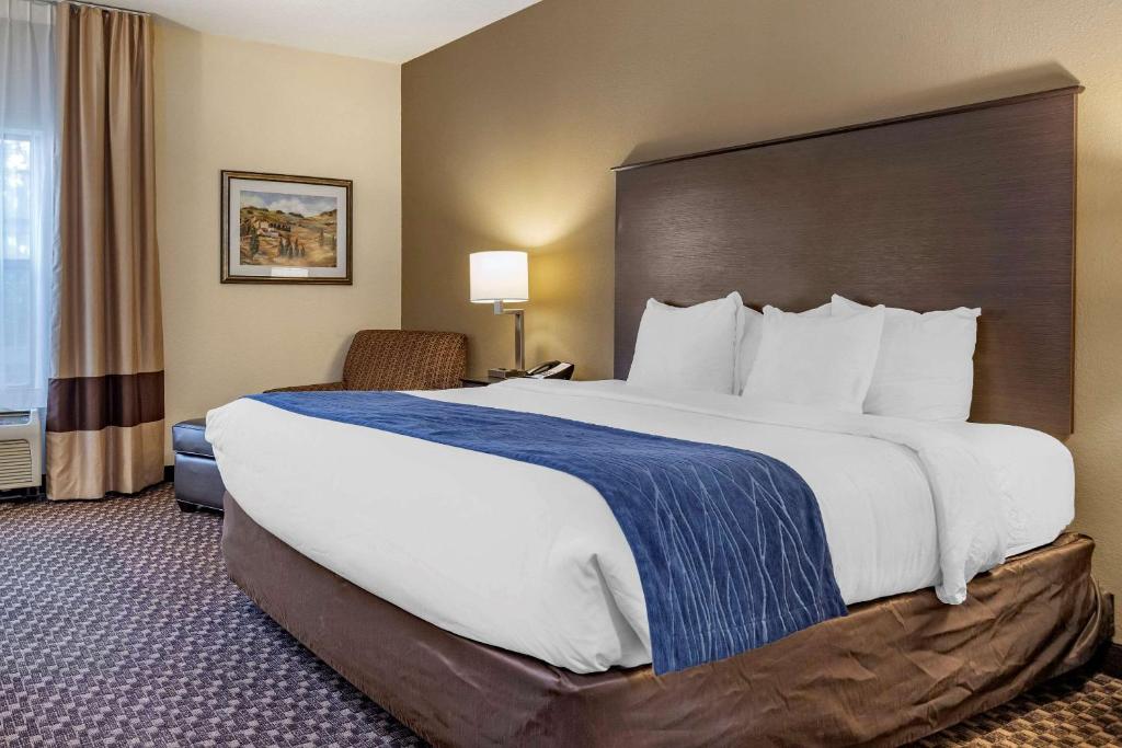 Comfort Inn Wings Stadium photo 1