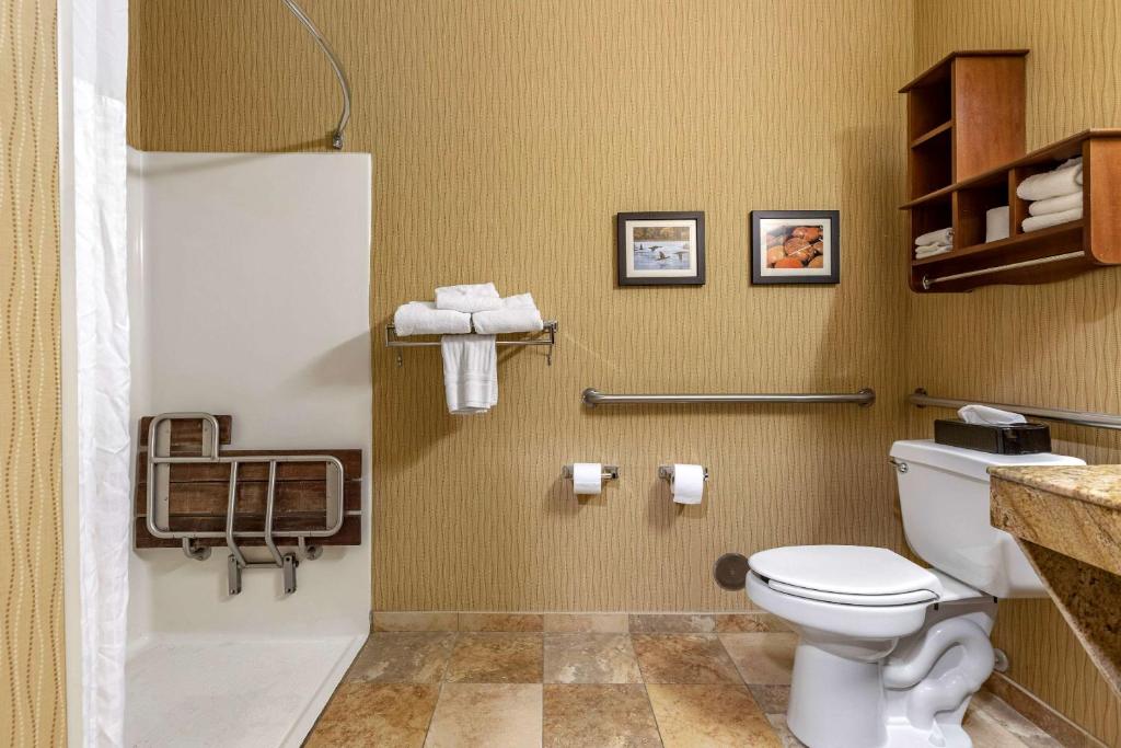 Comfort Inn Wings Stadium photo 4