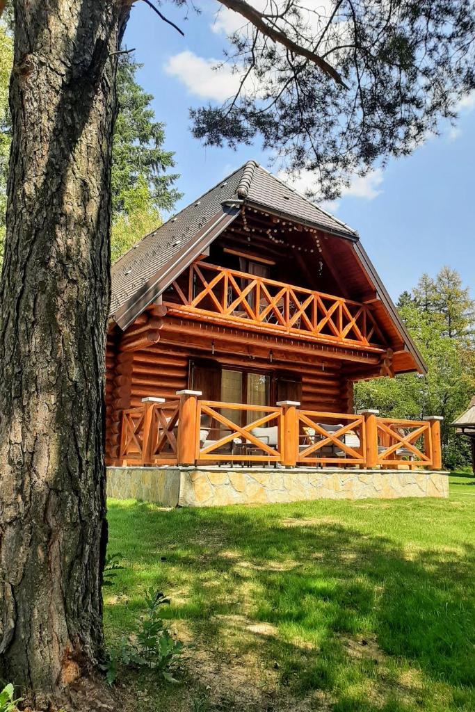 Zlatiborske brvnare photo 1