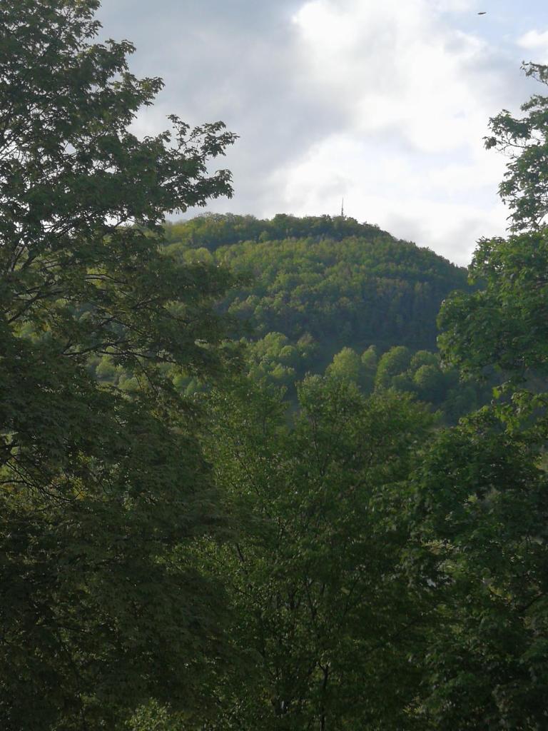 Einzelzimmer *Am Bronnwiesle* photo 4