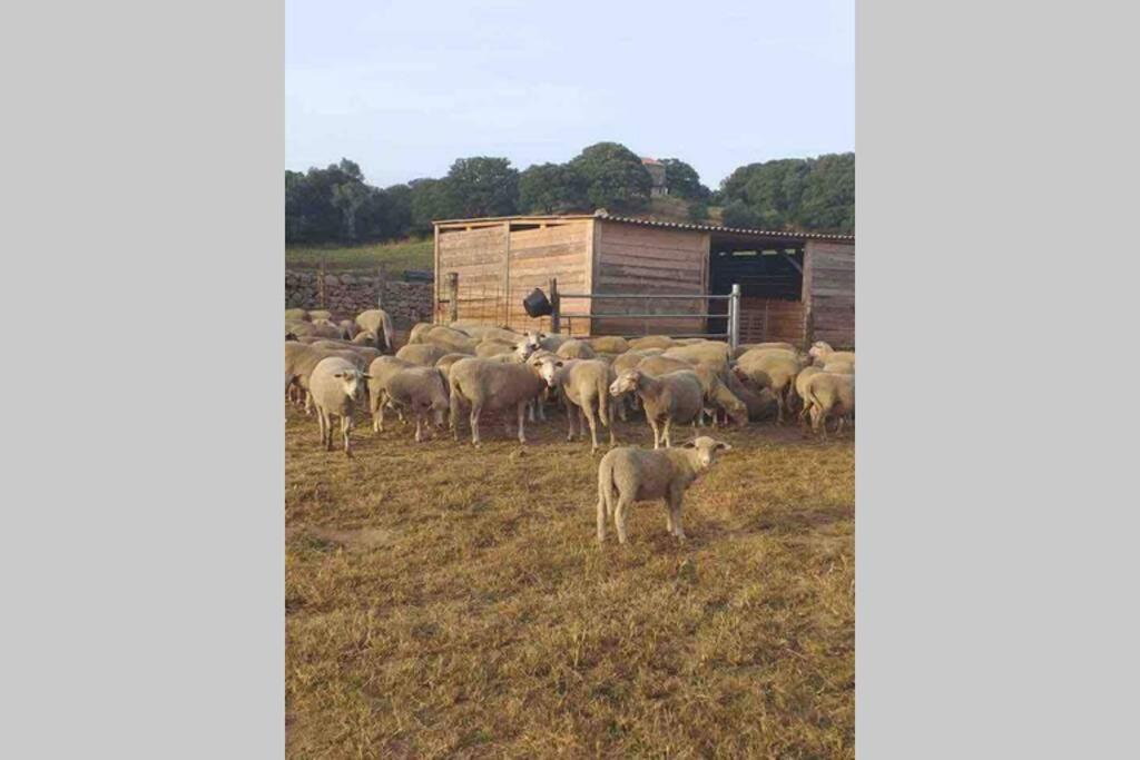 Maison typique de campagne au cœur de la nature . photo 3