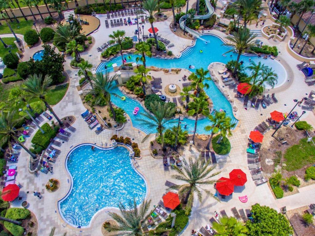 Regal palms resort and spa image