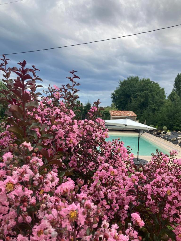GITE Abeille-Soleil photo 4