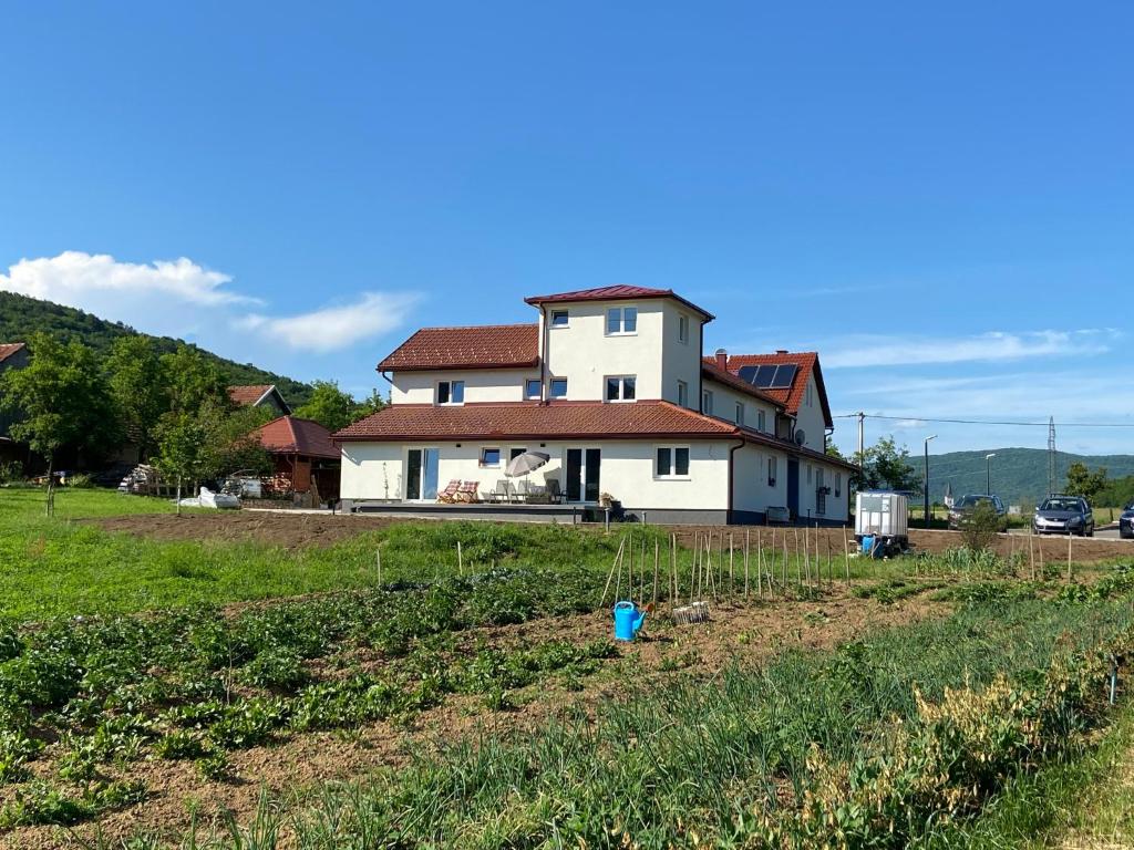 Apartman Fenestra s terasom i pogledom na Gacku photo 1
