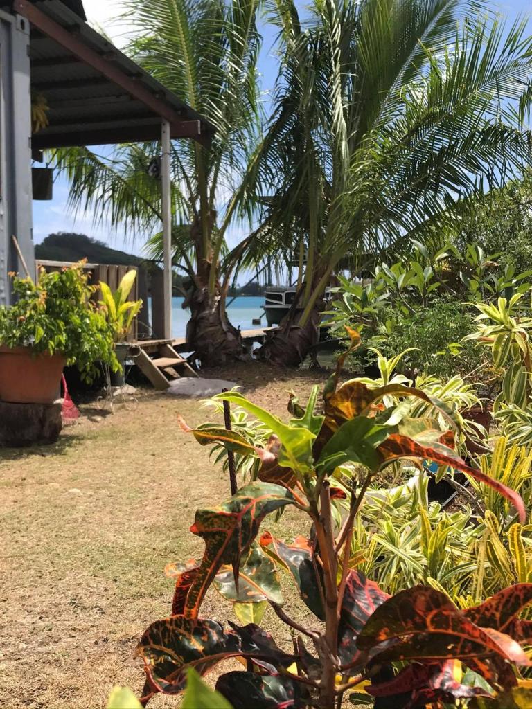 Toa Lodge Bora Bora photo 3