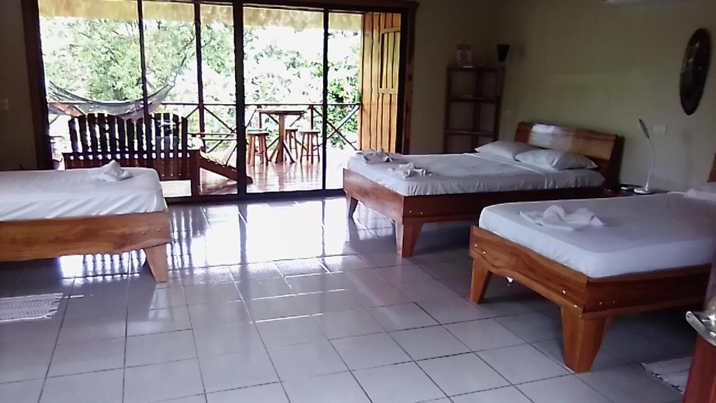 Corcovado Forest Rental and Tours Drake Bay photo 4