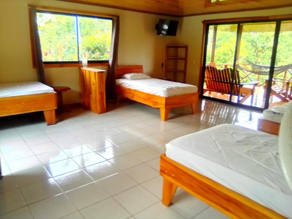 Corcovado Forest Rental and Tours Drake Bay photo 3