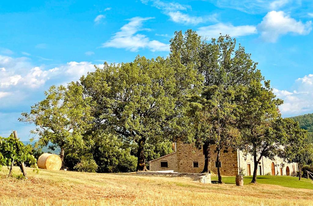 Palazzolo Resort - Anghiari photo 4