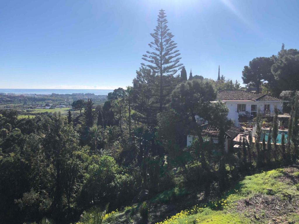 Casa Simba B&B Adults Only photo 2