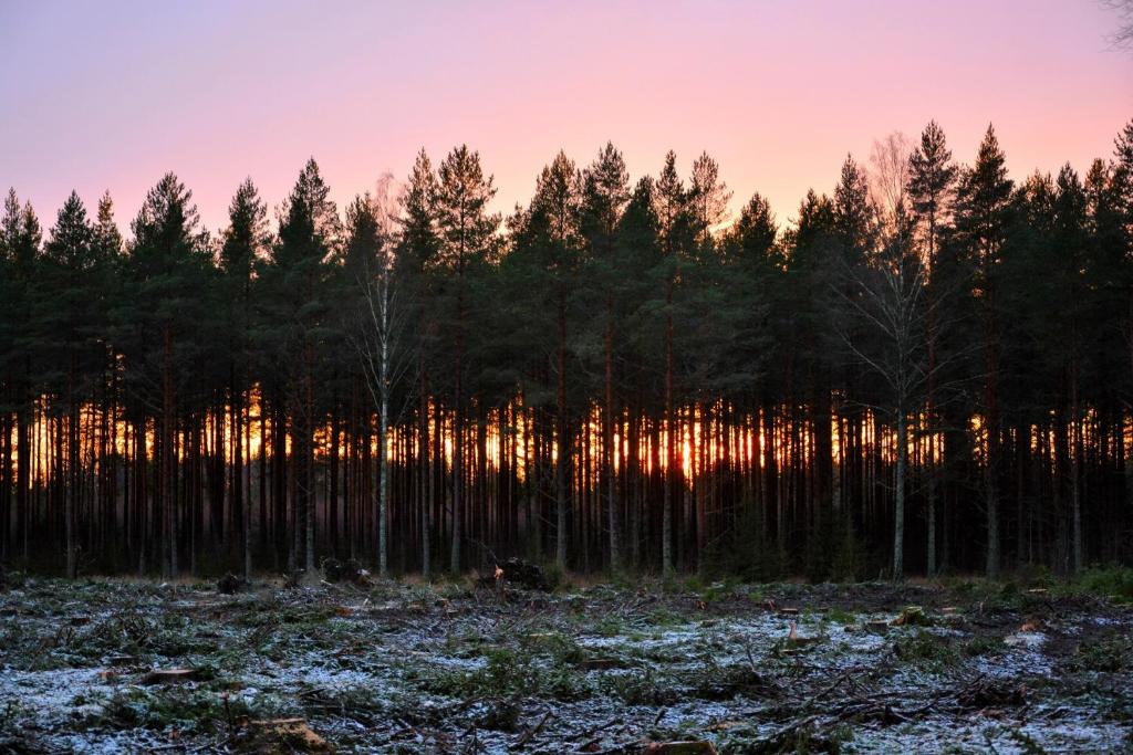 Lillstugan, södra Bergslagen - Tap to explore photos