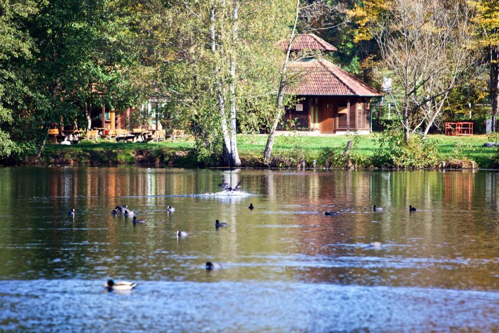 Wald und Felsen - Apartment