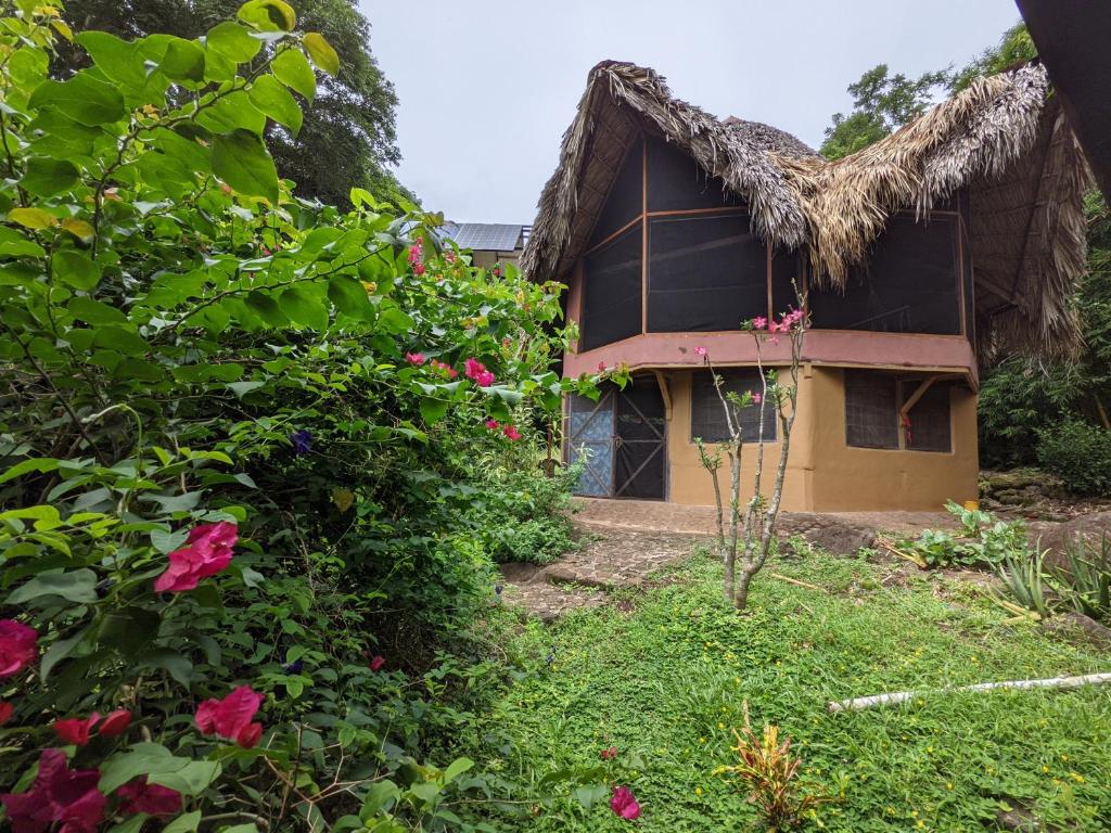 Finca del Sol Eco Lodge photo 3